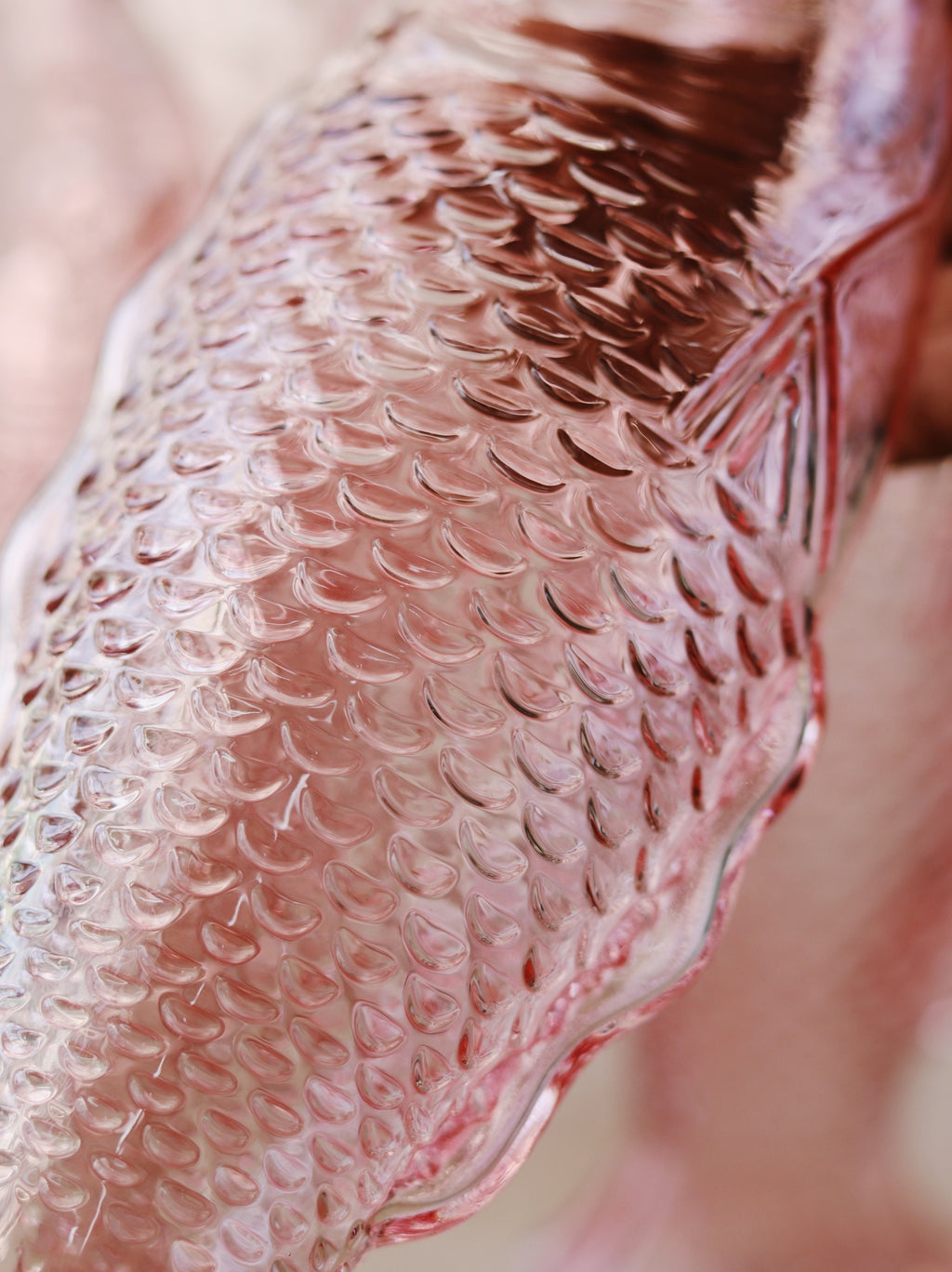 Garrafa de Peixe