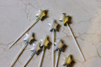 Vela Estrelas