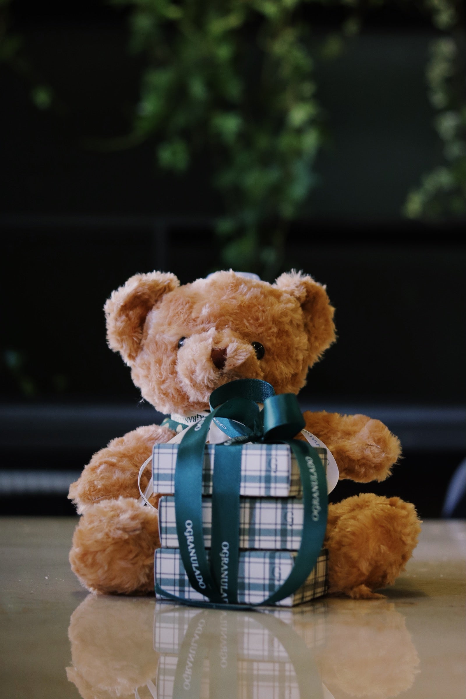 Granurso - o urso do Granu